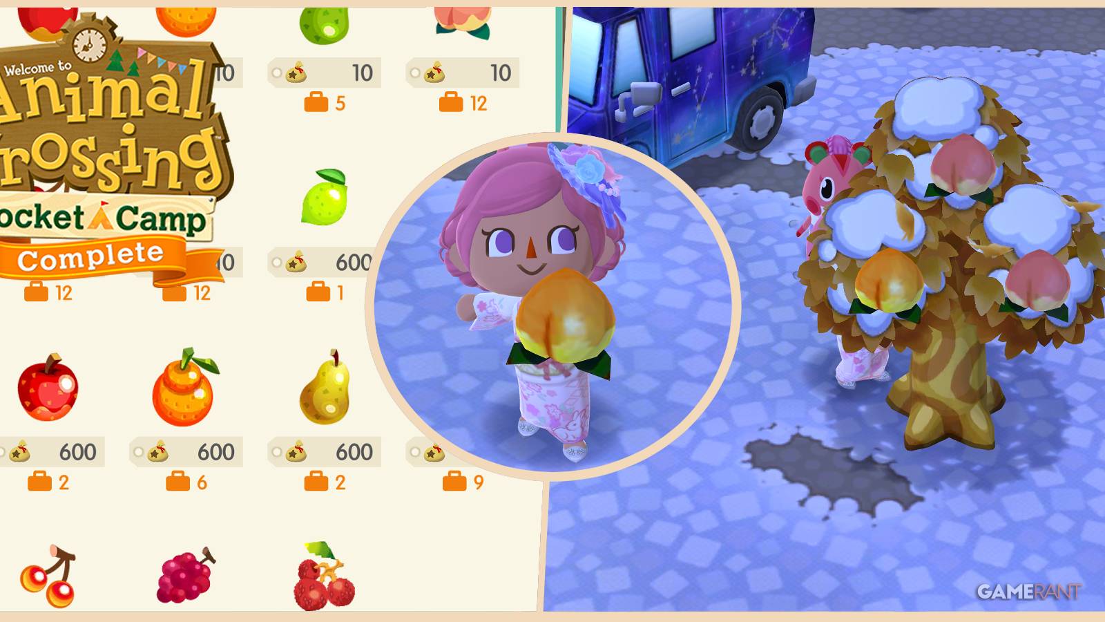 animal crossing pocket camp complete what to do with perfect fruit feature image