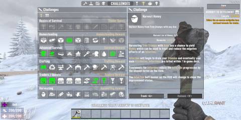 Collect Honey Challenge