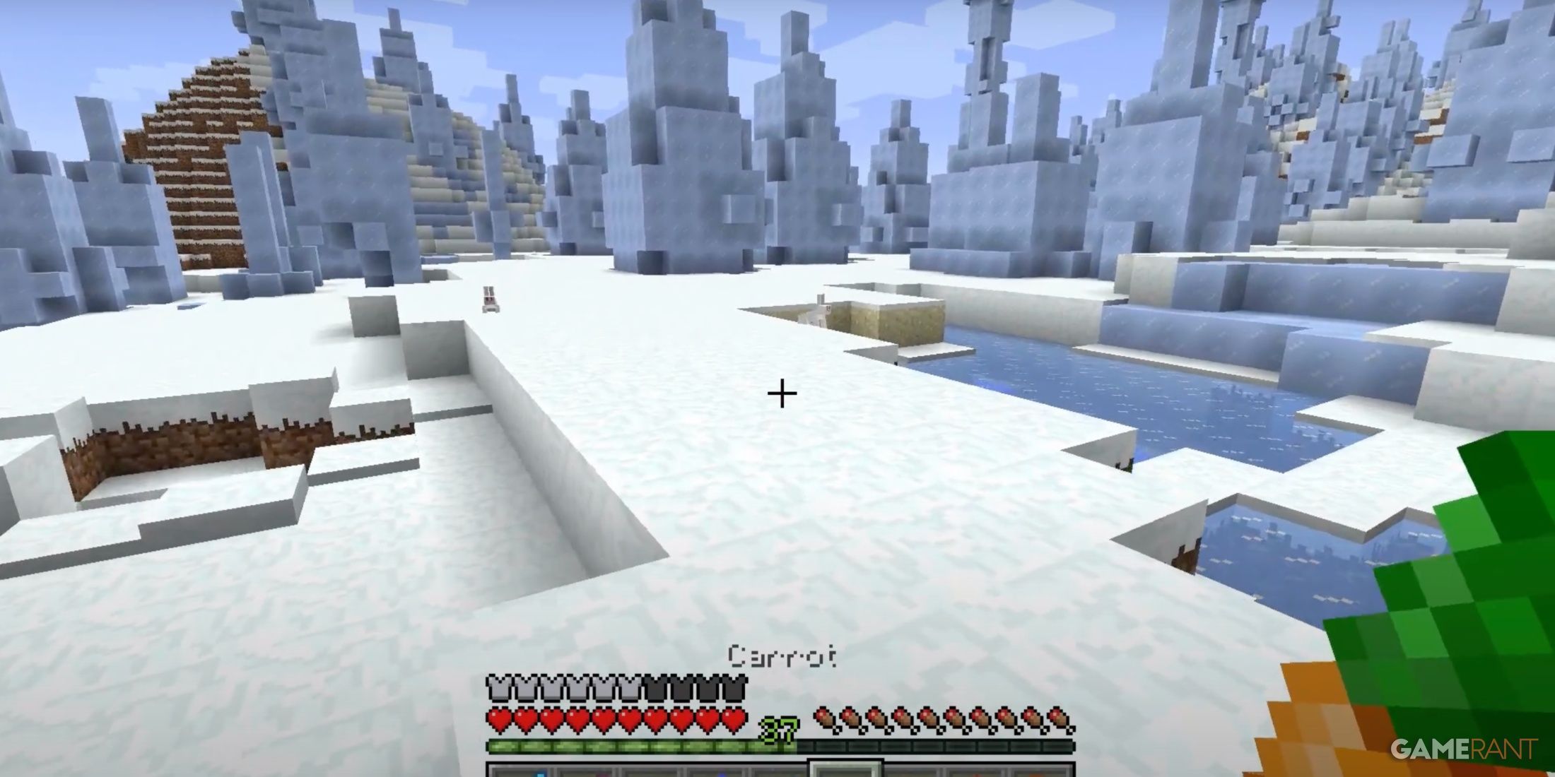 How To Survive Snow Biomes In Minecraft