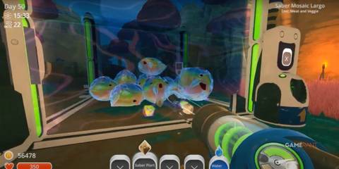 Saber Mosaic Largo in Slime Rancher