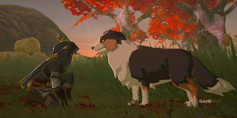 The Legend of Zelda Tears of the Kingdom TOTK Link crouching near a cute dog