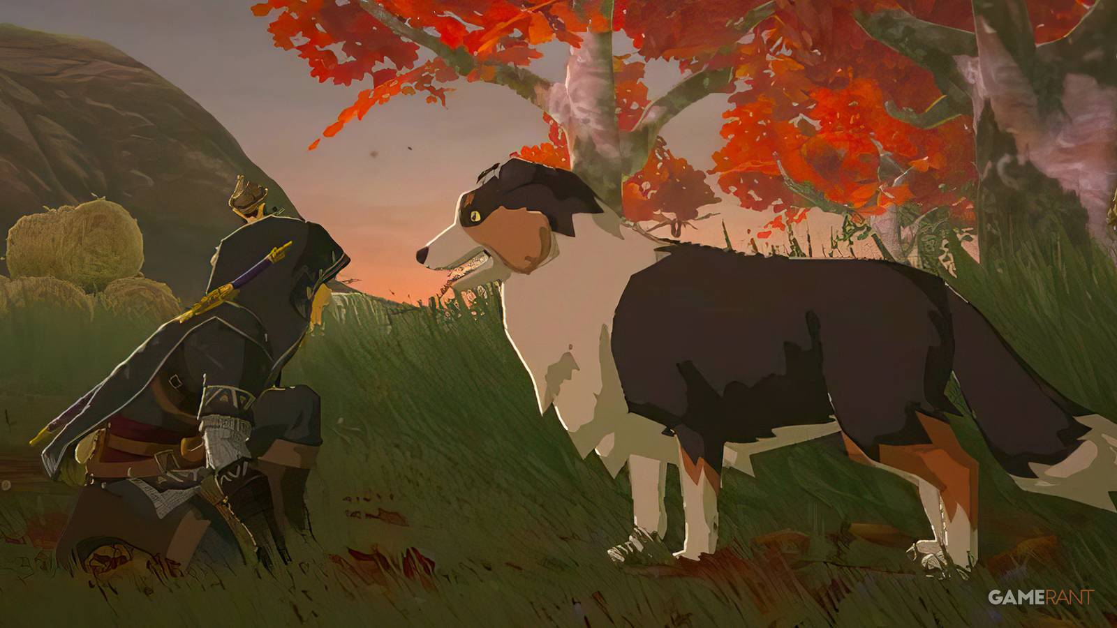 The Legend of Zelda Tears of the Kingdom TOTK Link crouching near a cute dog