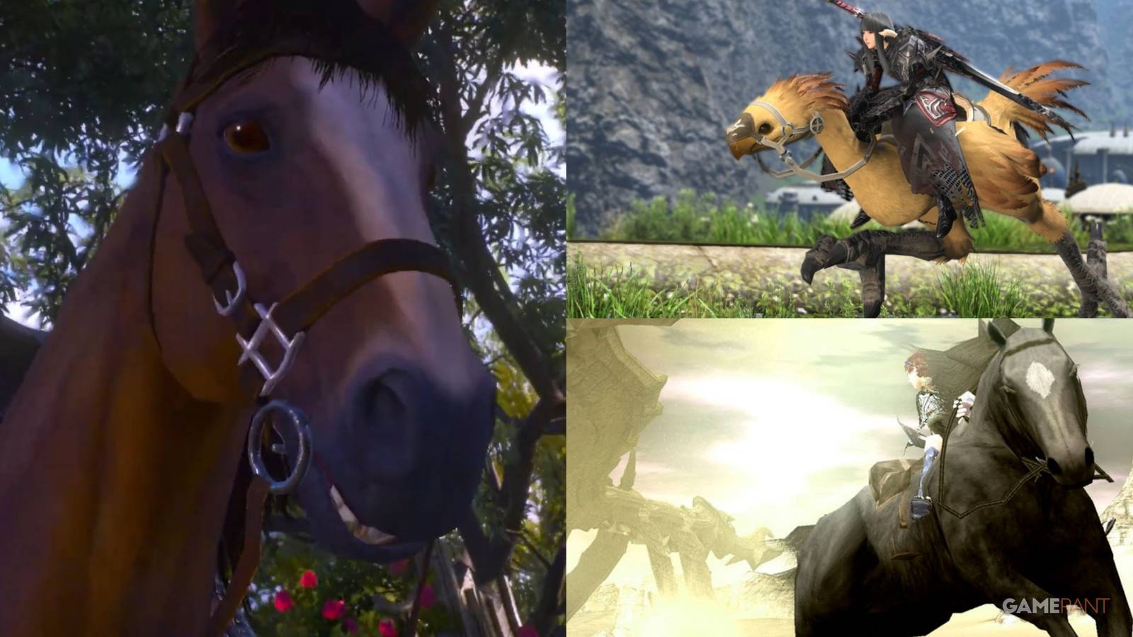 The Witcher 3 Wild Hunt, Final Fantasy 14, Shadow of the Colossus