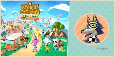 animal crossing pocket camp complete feature image how to unlock lobo