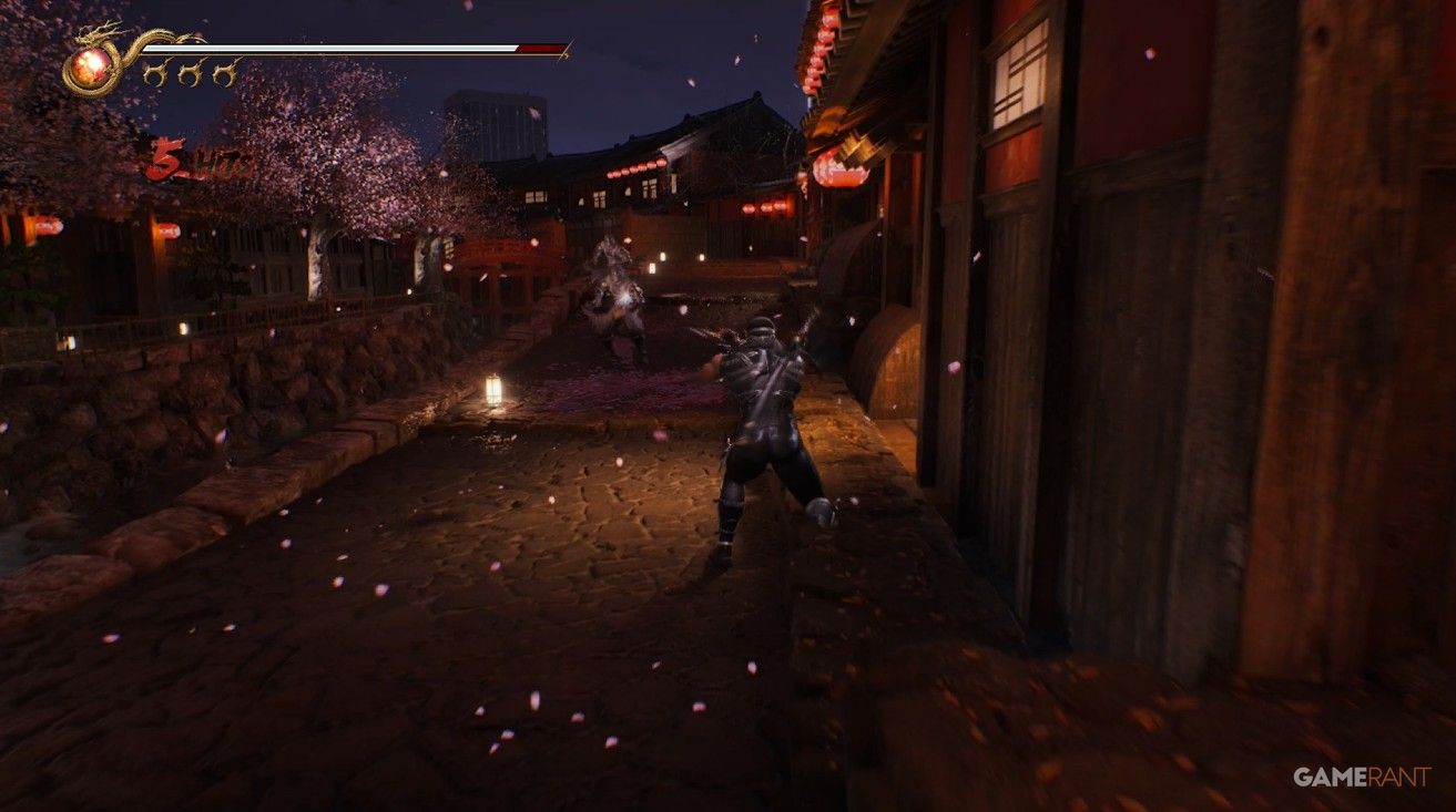 cherry blossom fighting ninja gaiden 2 black