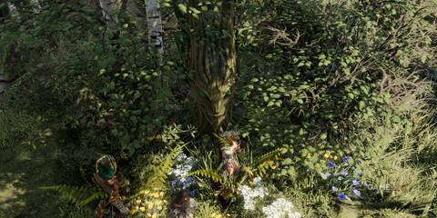 Showcasing the Spring totem in Divinity - Original Sin 2