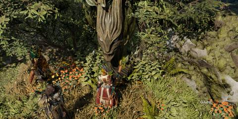 Showcasing the summer totem in Divinity - Original Sin 2