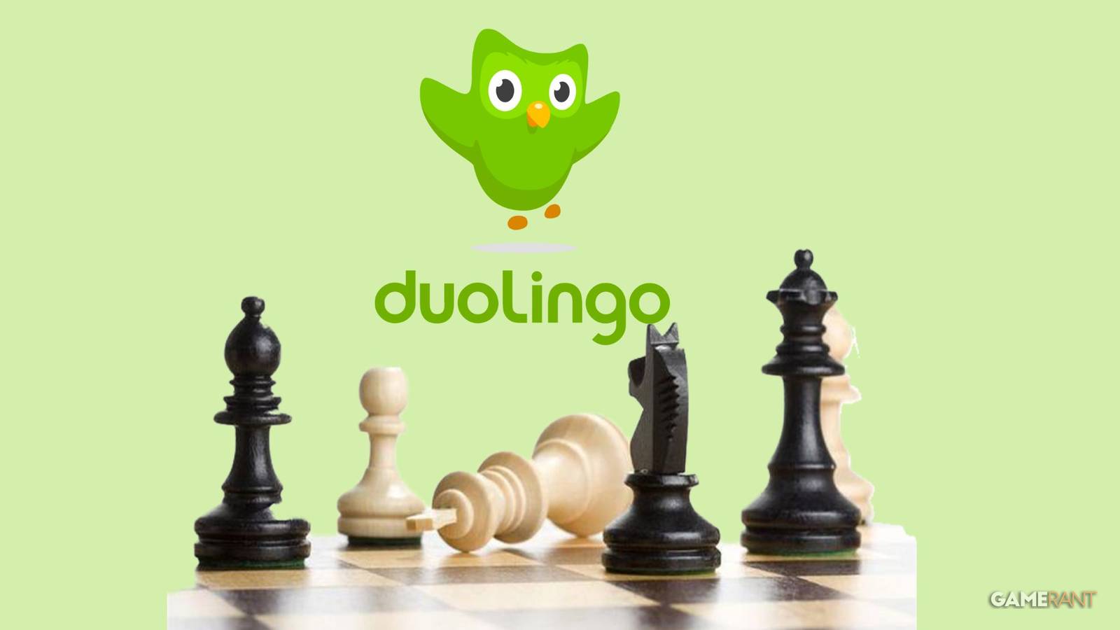 Duolingo leak chess lessons and practice sessions 