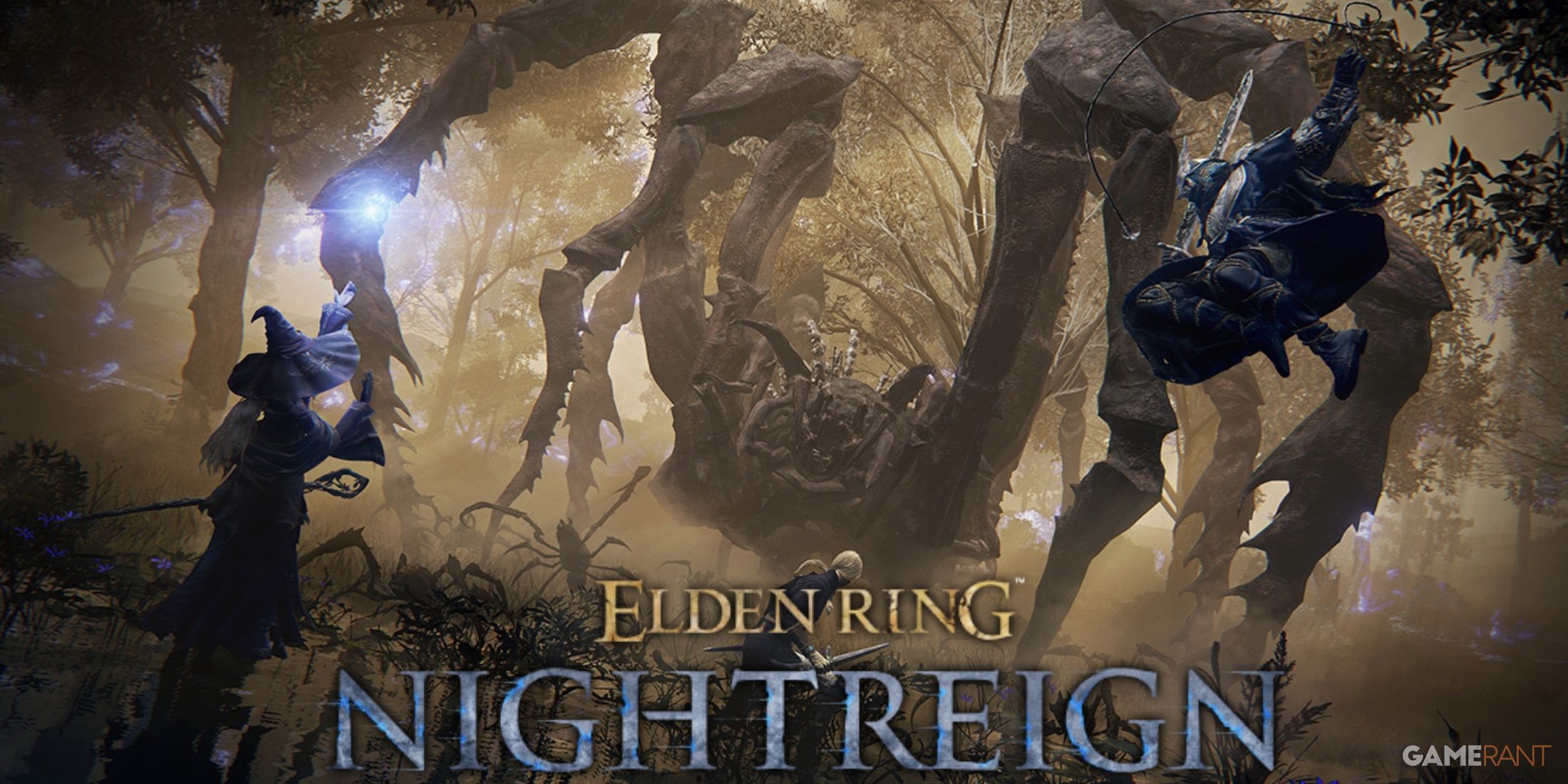 Elden Ring Nightreign Weapon Wish List