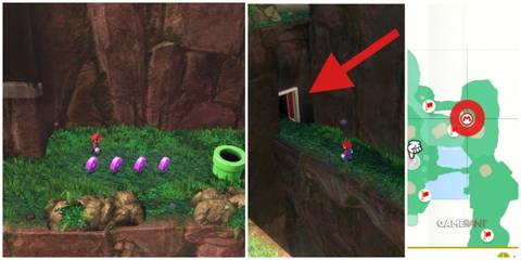 mario cascade kingdom 44-47 purple coins