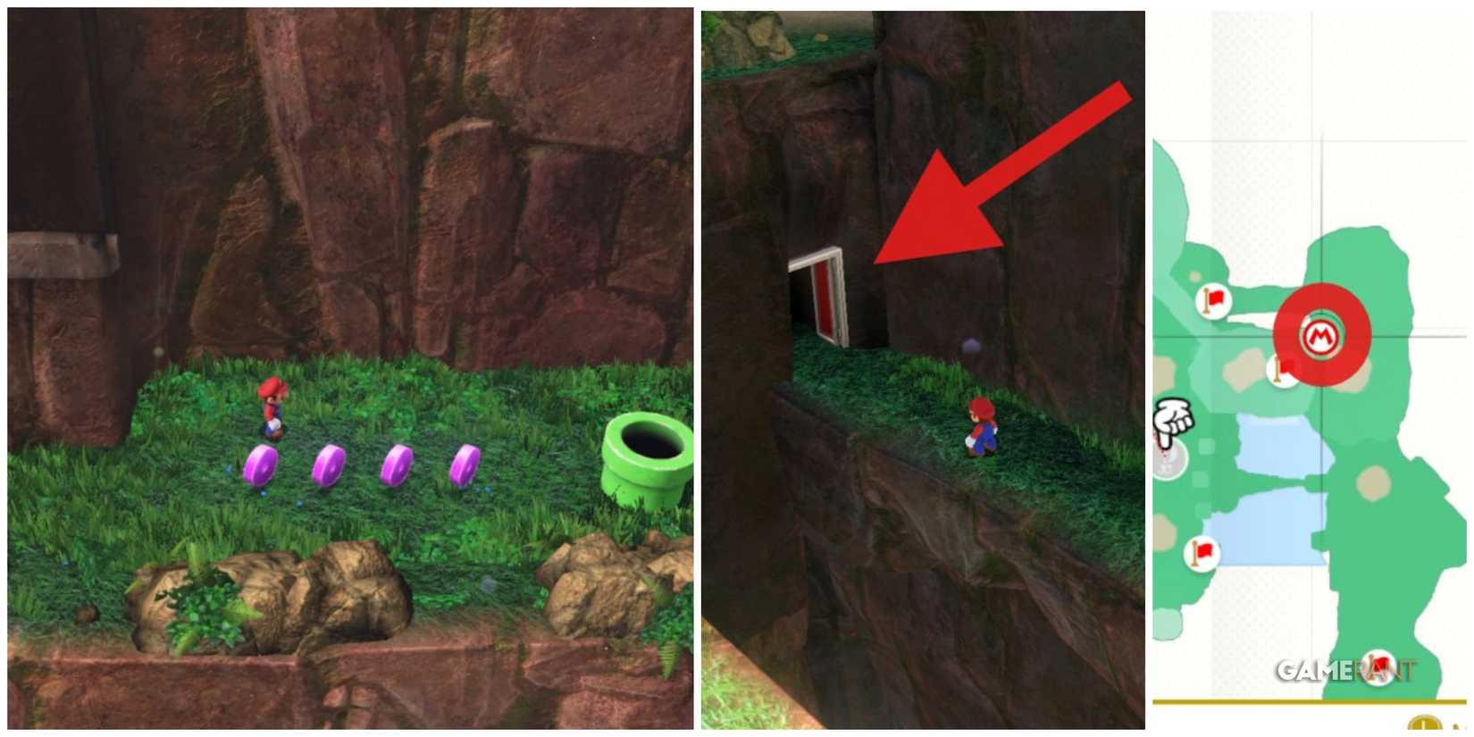 mario cascade kingdom 44-47 purple coins