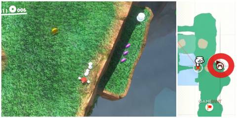 mario odyssey cascade kingdom purple coins 7-9