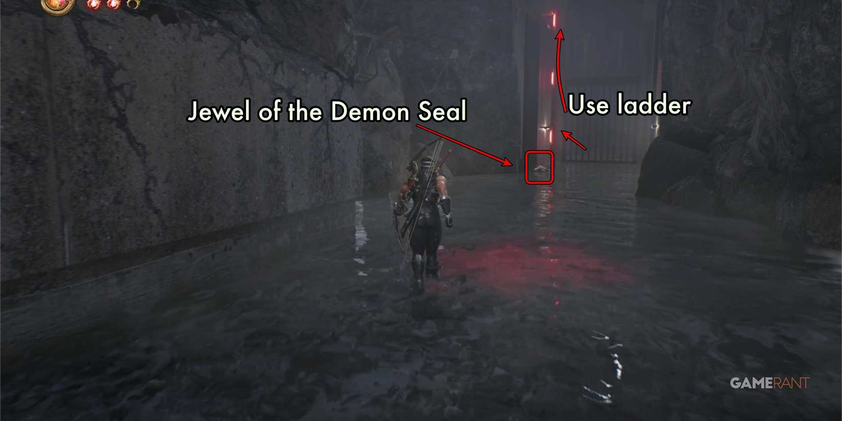 NG2B-CH-3-Sewer-1-Demon-Jewel-Ladder