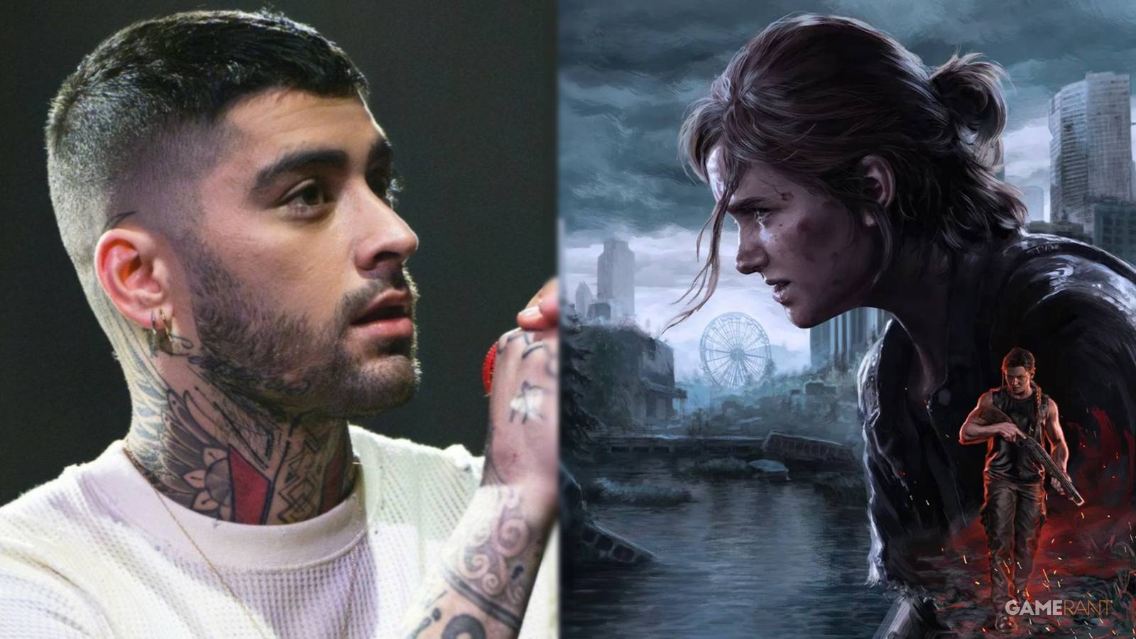 Zayn Malik shows off The Last of Us birthday cake