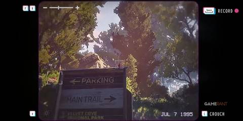 Alternate Footage Bird Lost Records Bloom and Rage