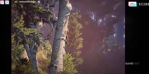 Alternate Footage Squirrel  Lost Records Bloom and Rage