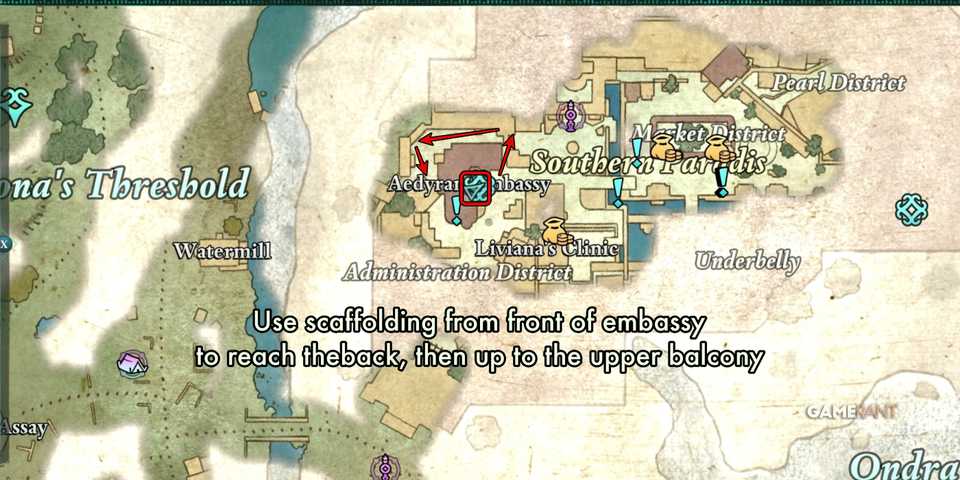 Avowed-Blackwing-Gloves