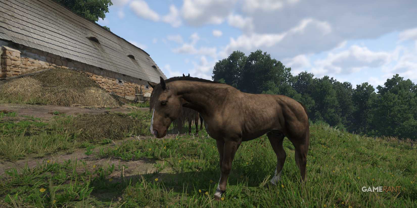 Bitterklee, a reliable early game horse in Kingdom Come Deliverance 2, grazing by the fields