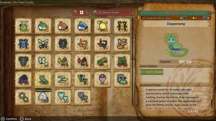 dapperwing mh wilds notes