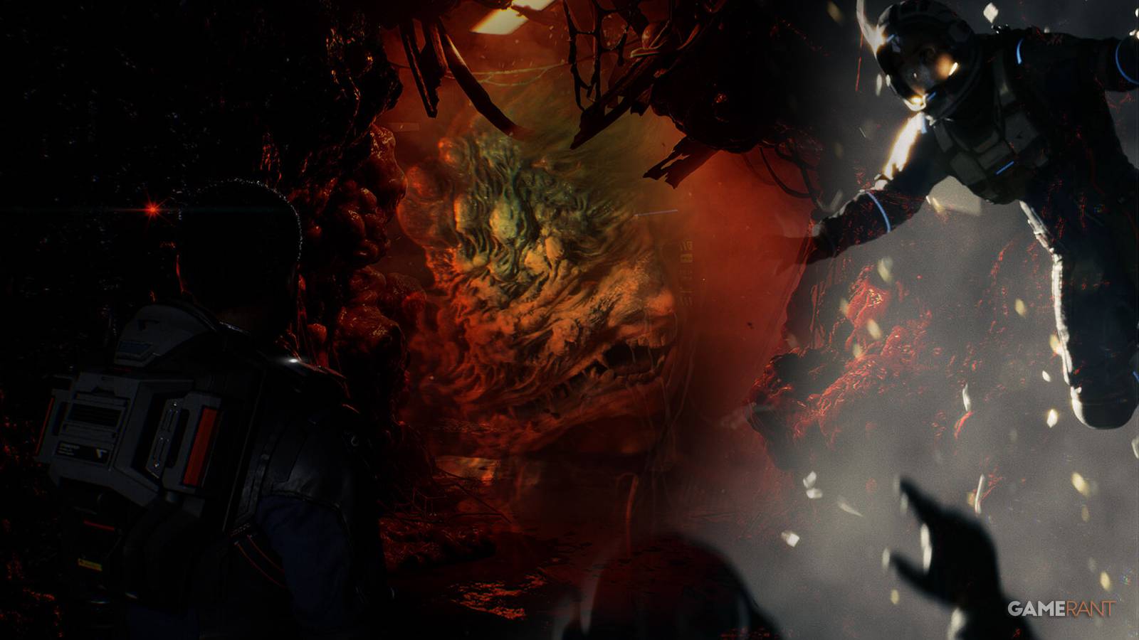 Directive 8020 Inspiration Expectations