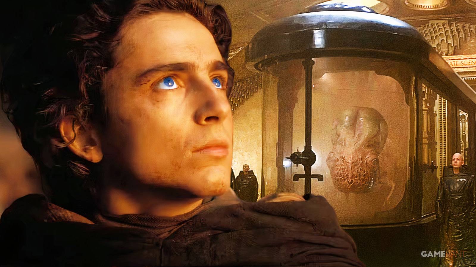 timothee chalamet as paul atreides in dune, spacing guild chamber in dune (1984)
