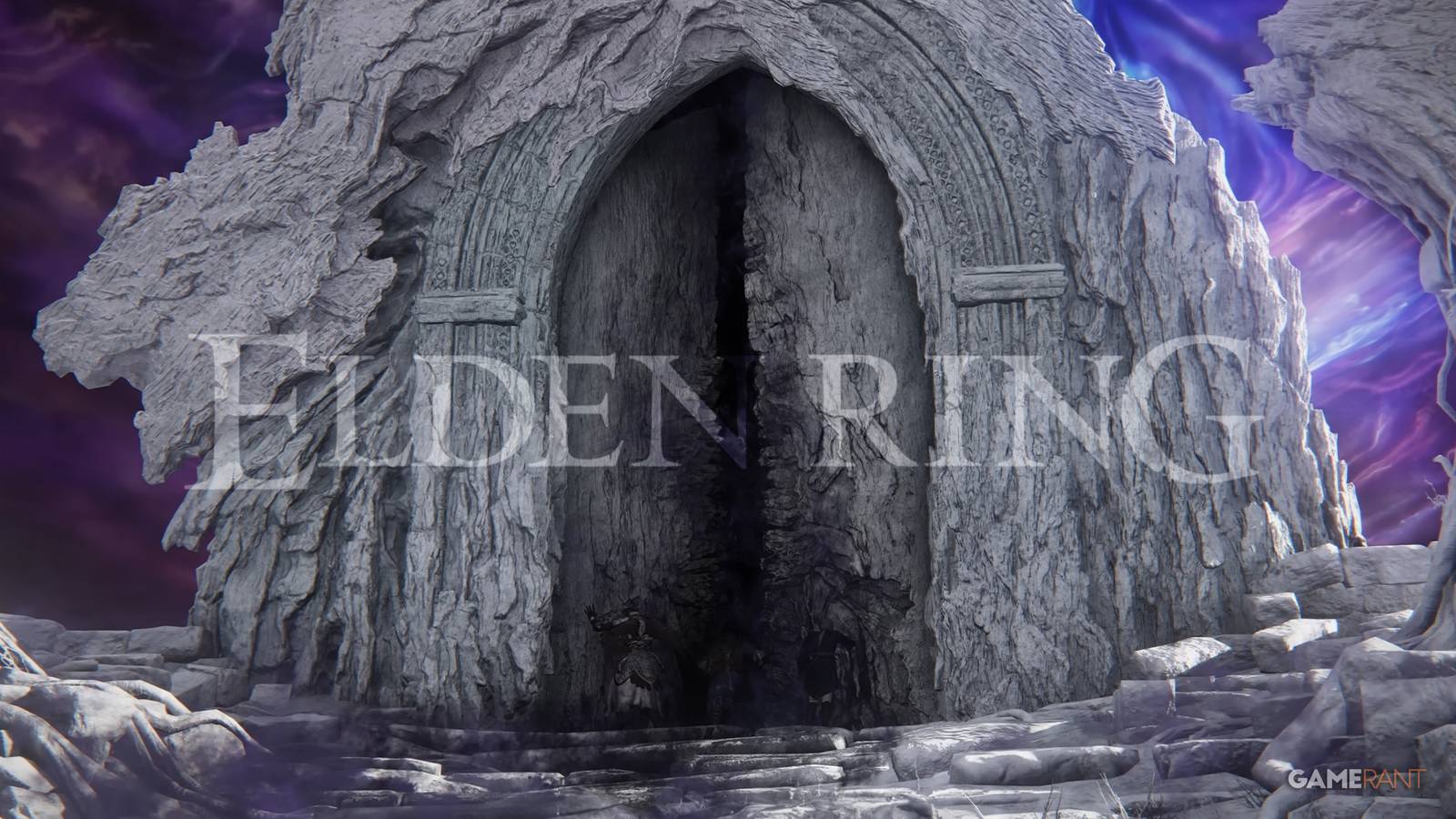 Elden Ring Nightreign Accessible FromSoftware