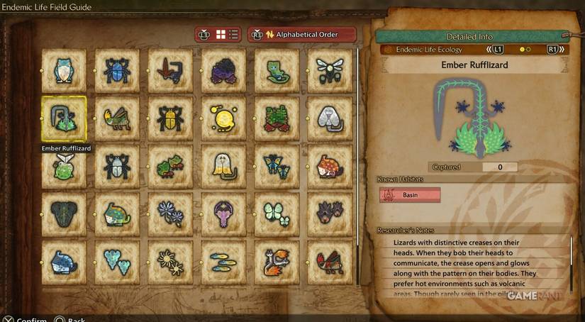 Dareels Research Report Cont Guide for Monster Hunter Wilds (Ember ...