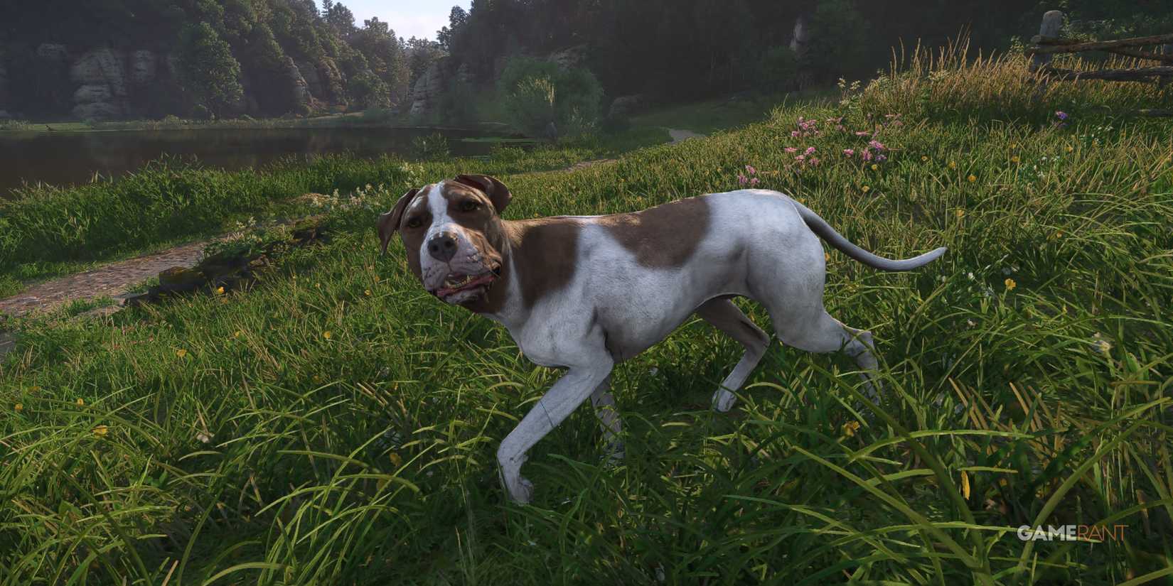 Henry's loyal dog, Mutt, exploring a vibrant medieval field in Kingdom Come Deliverance 2