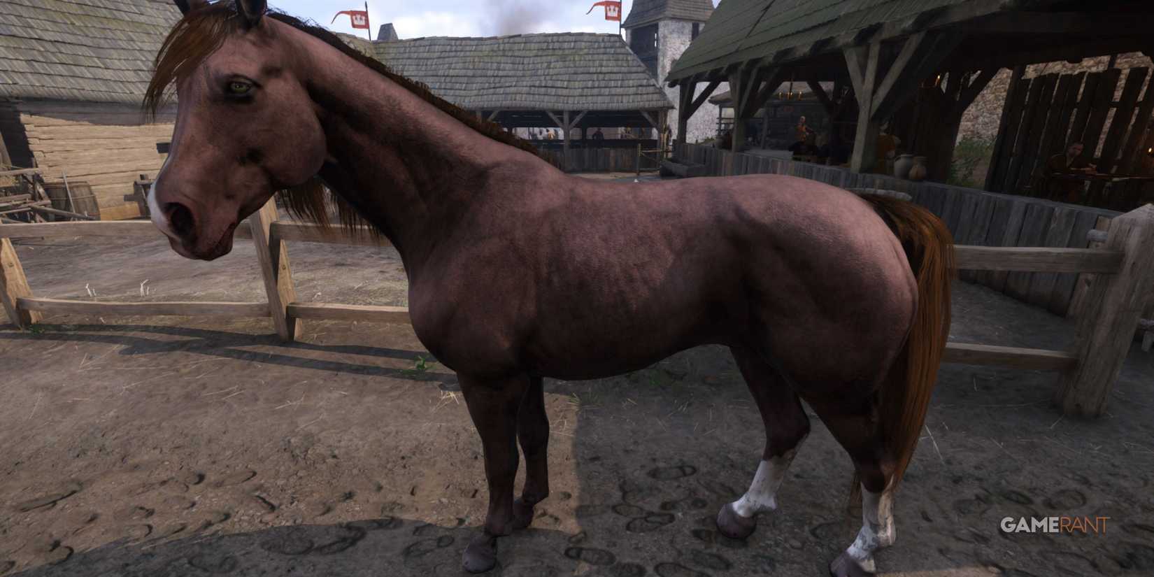 Kingdom Come Deliverance 2 - Horse - Herring