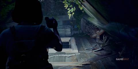 Lost Records Bloom & Rage cabin attic