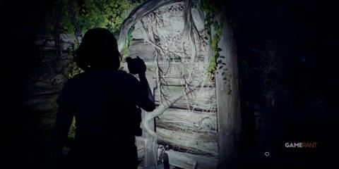 Lost Records Bloom & Rage cabin combination