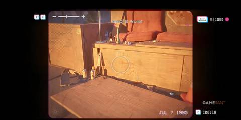 Lost Records Bloom & Rage Cheater