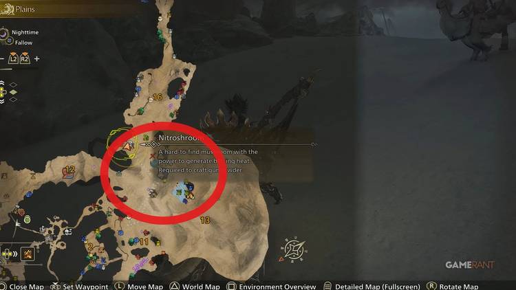 Onde encontrar lagartos Tracktail