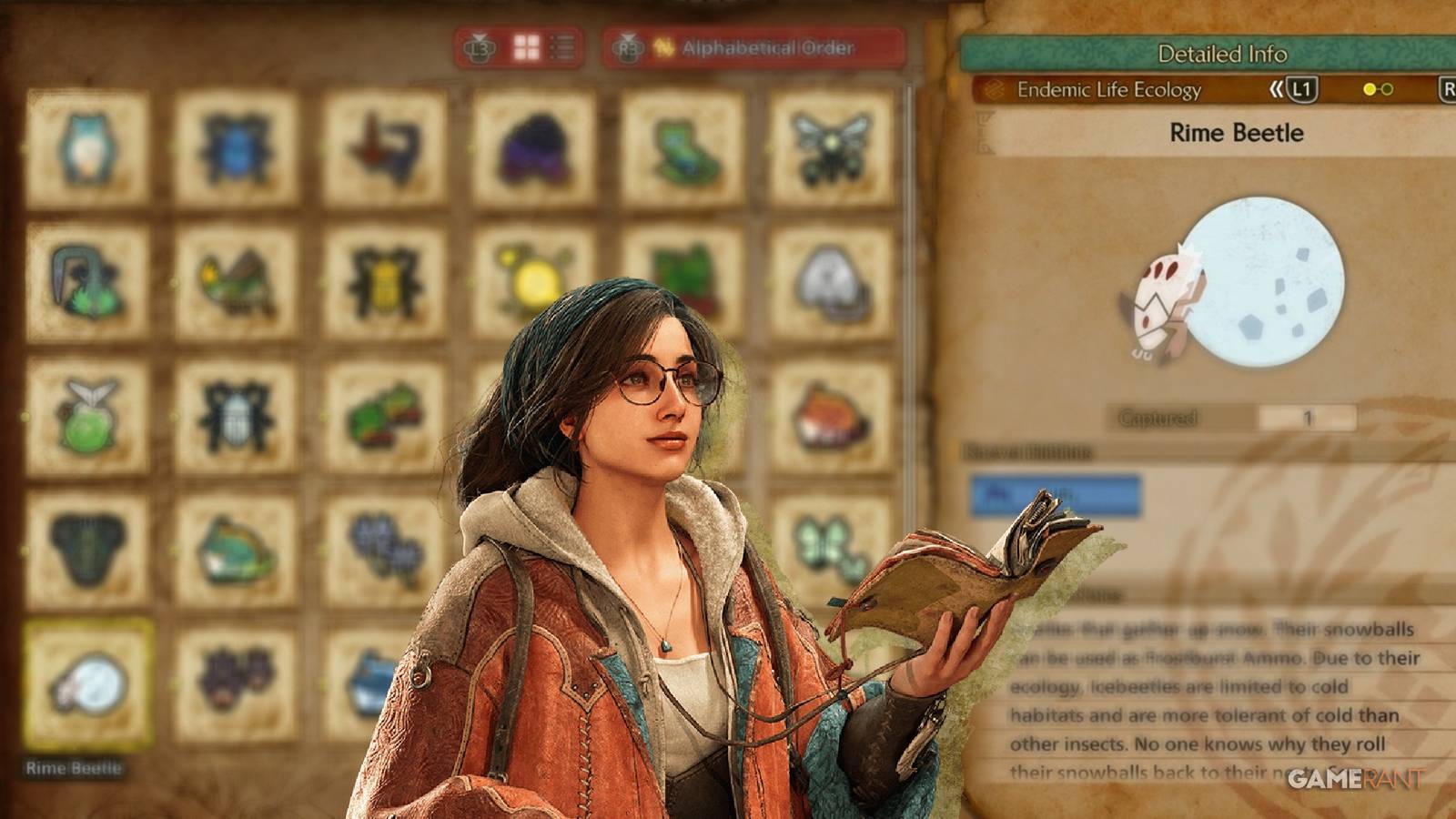 rime beetle mh wilds