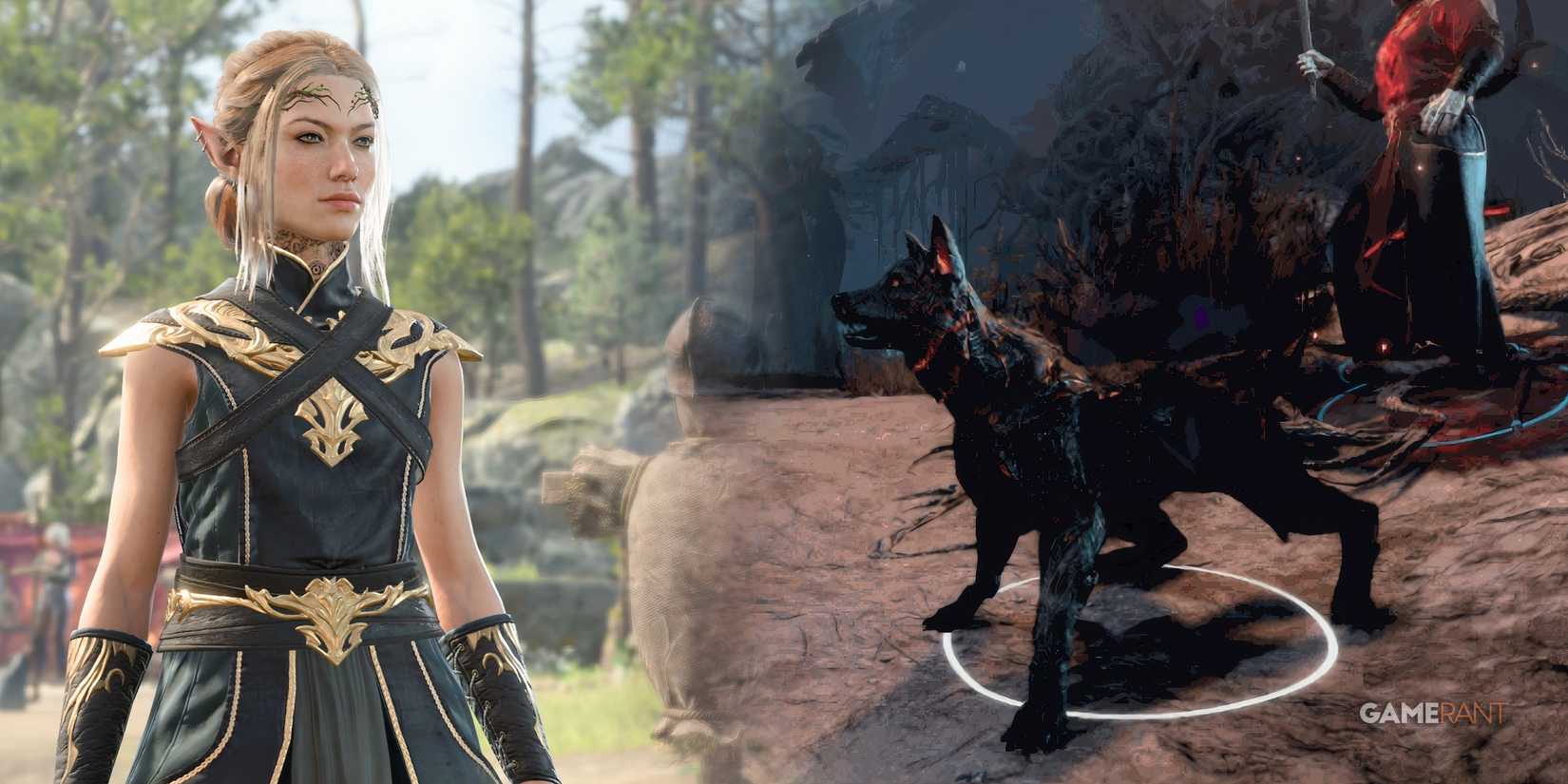 baldurs-gate-3-shadow-magic-sorcerer-hound