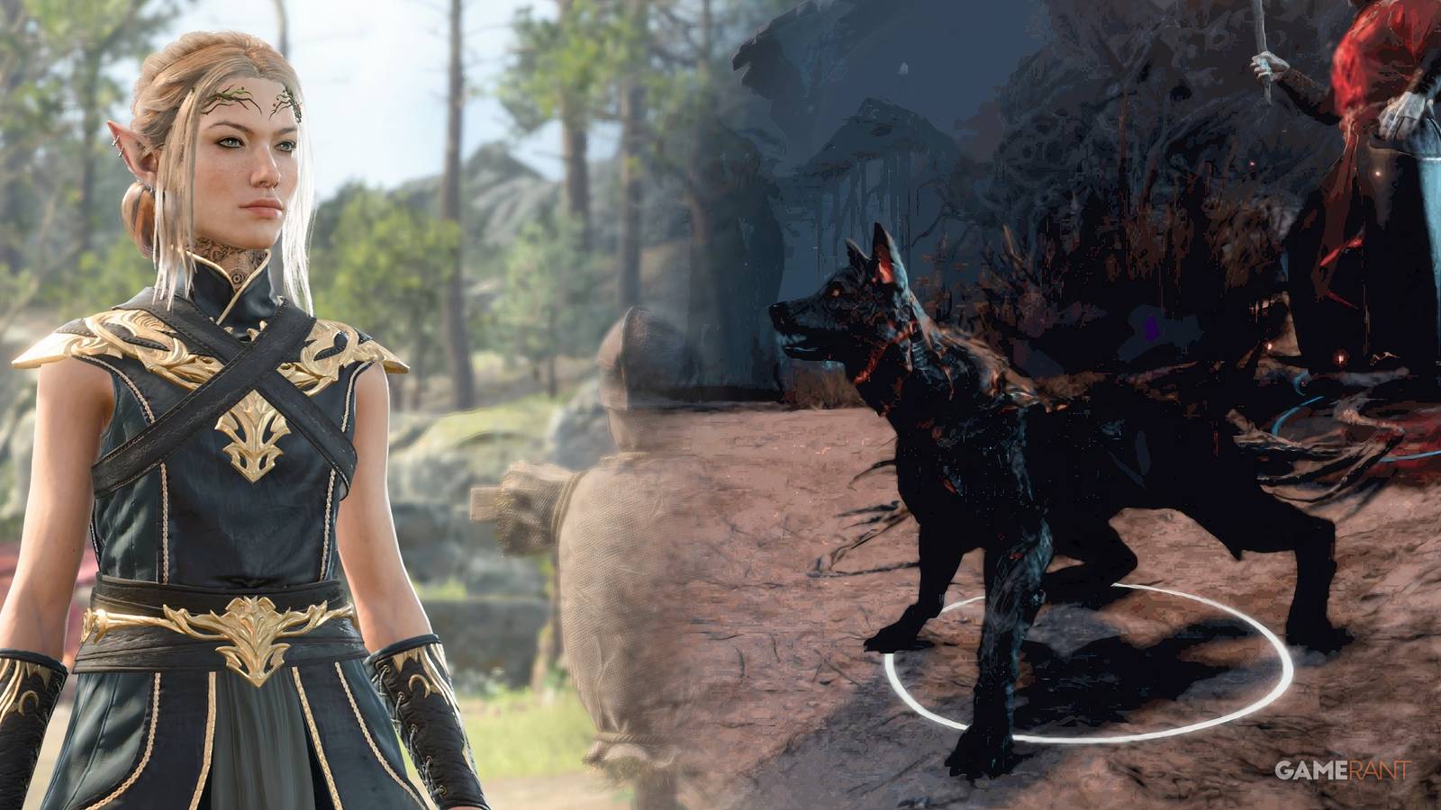 baldurs-gate-3-shadow-magic-sorcerer-hound