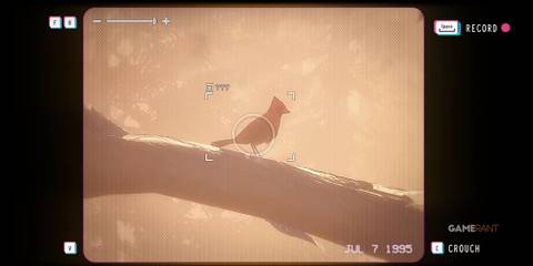 Swann Holloway 1995 Lost Records_ Bloom & Rage Bird