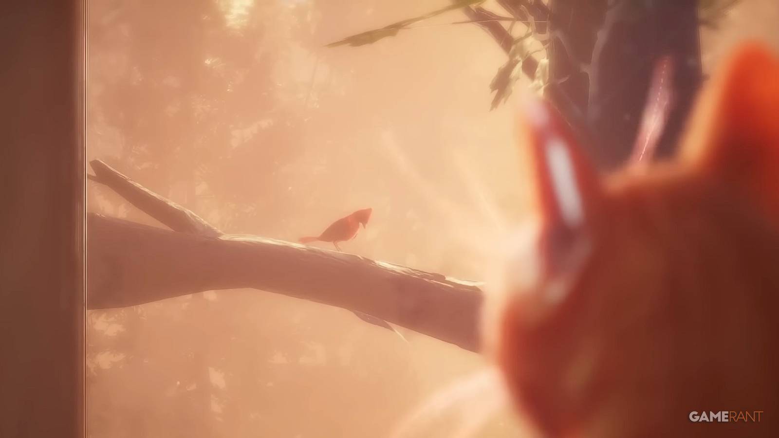 Swann Holloway 1995 Lost Records_ Bloom & Rage Feature