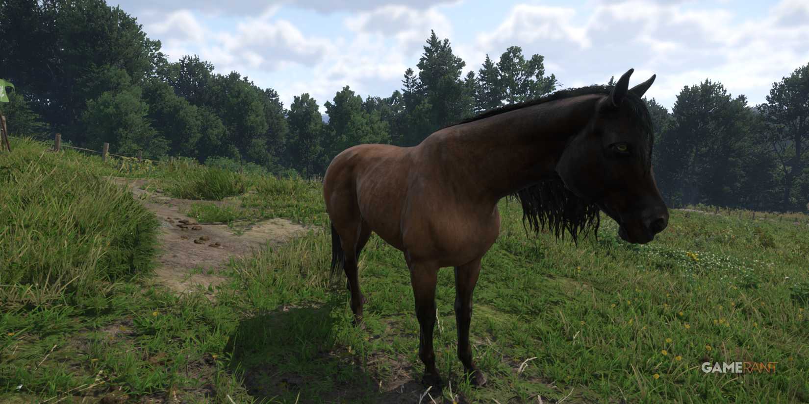 Tarant, a steady early game horse in Kingdom Come Deliverance 2, near a bustling stable