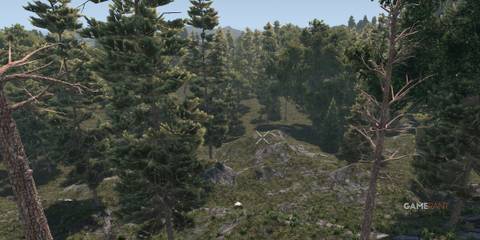 7 Days To Die Trees And Foliage Update