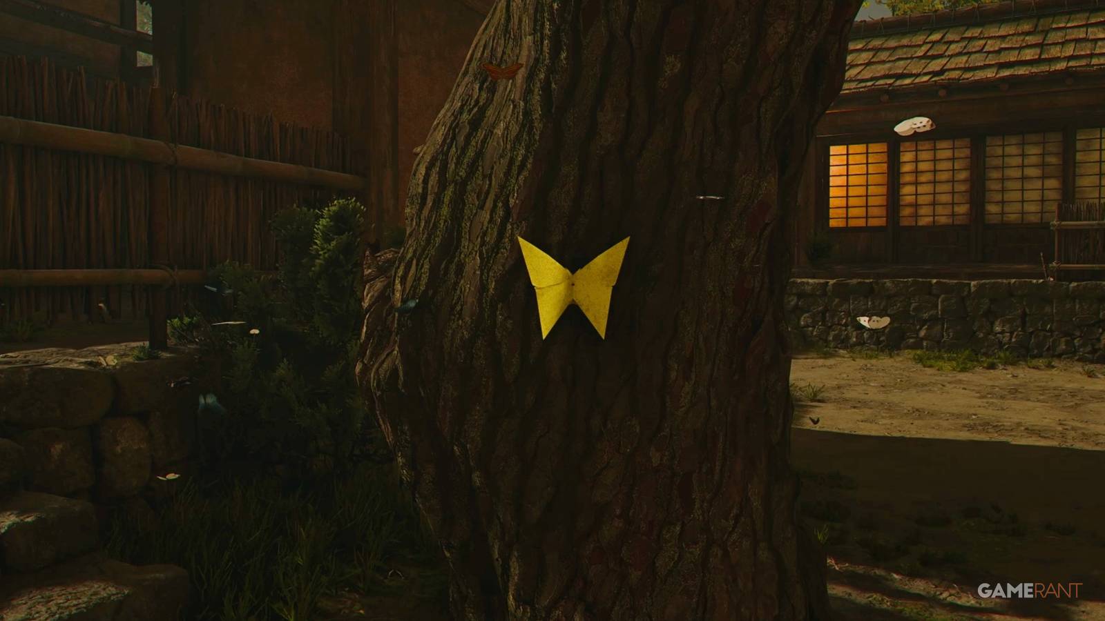 ACS-Butterfly-Collector-Featured