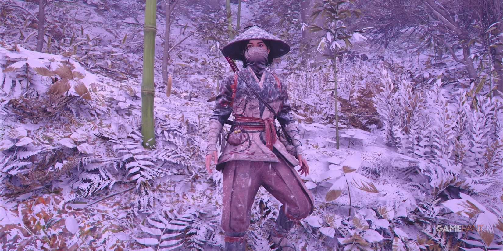 ACS-Light-Armor-Naoe