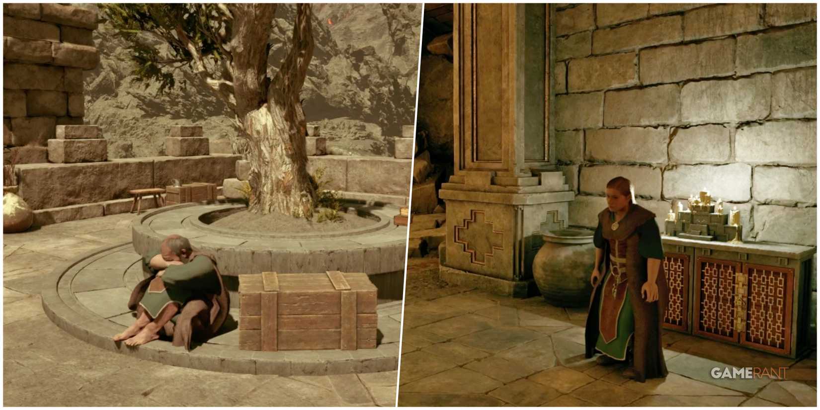 Avowed-KHA-Book-Options-Grigore-Dollna-Header