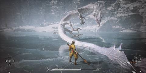 Black Myth Wukong Kang-Jin Loong Boss Fight