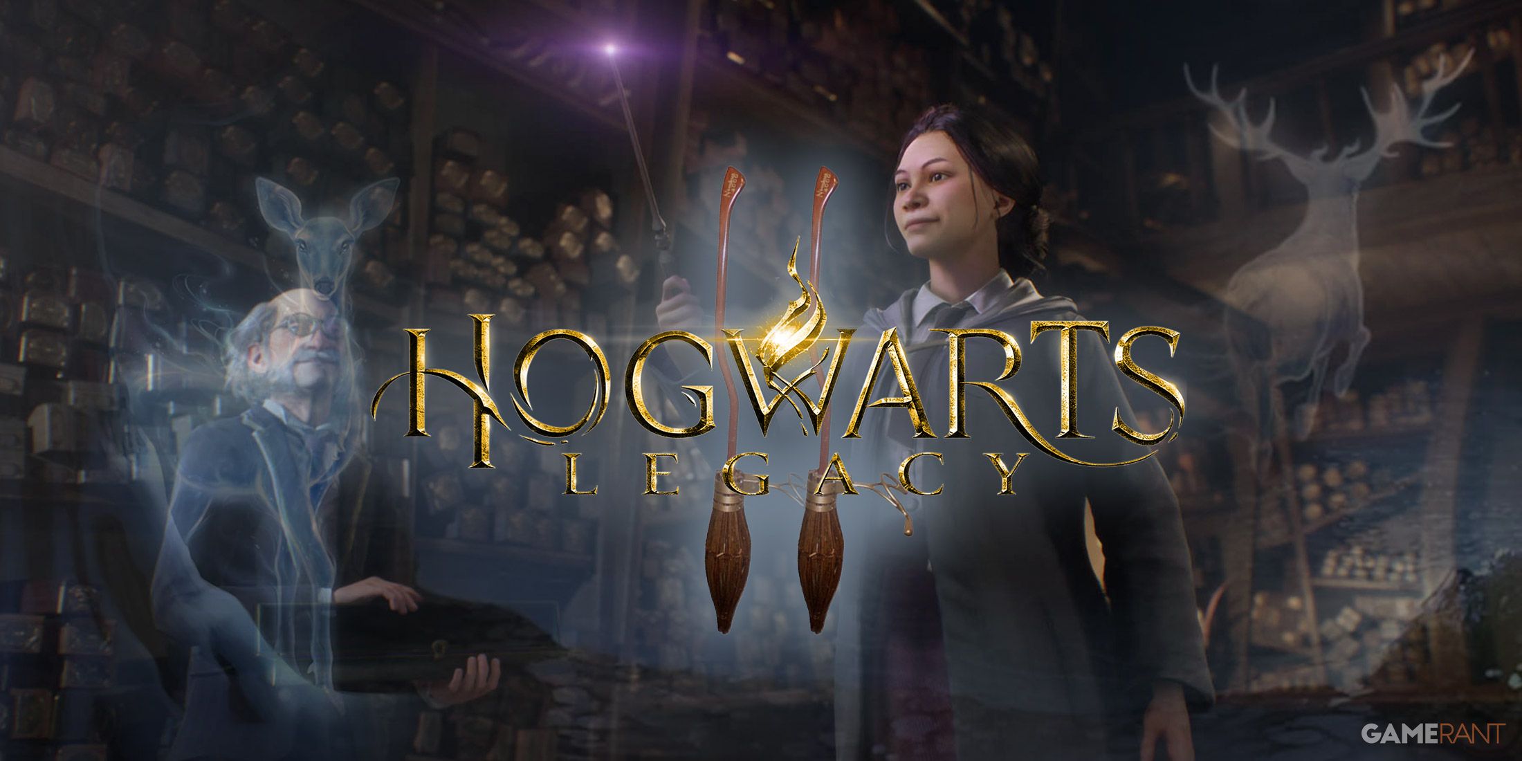 Hogwarts Legacy 2 Big Feature