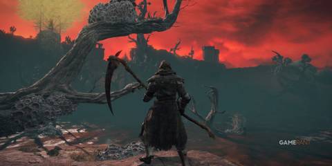  Player with a scythe looks out over Caelid