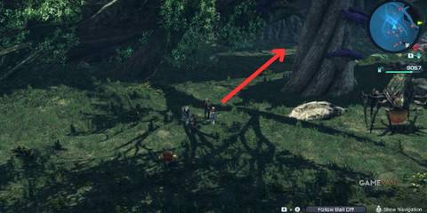 Players moving under a giant tree in Noctilum, following the path to the hidden Research Probe G2