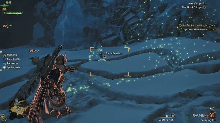 O que é um besouro de geada?