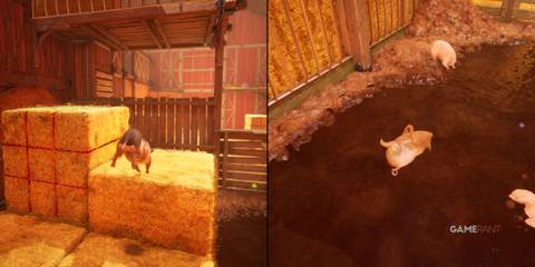 Split Fiction Farmlife Pigs