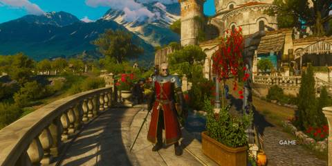 Witcher 3 - Redanian Halberdier's Armor